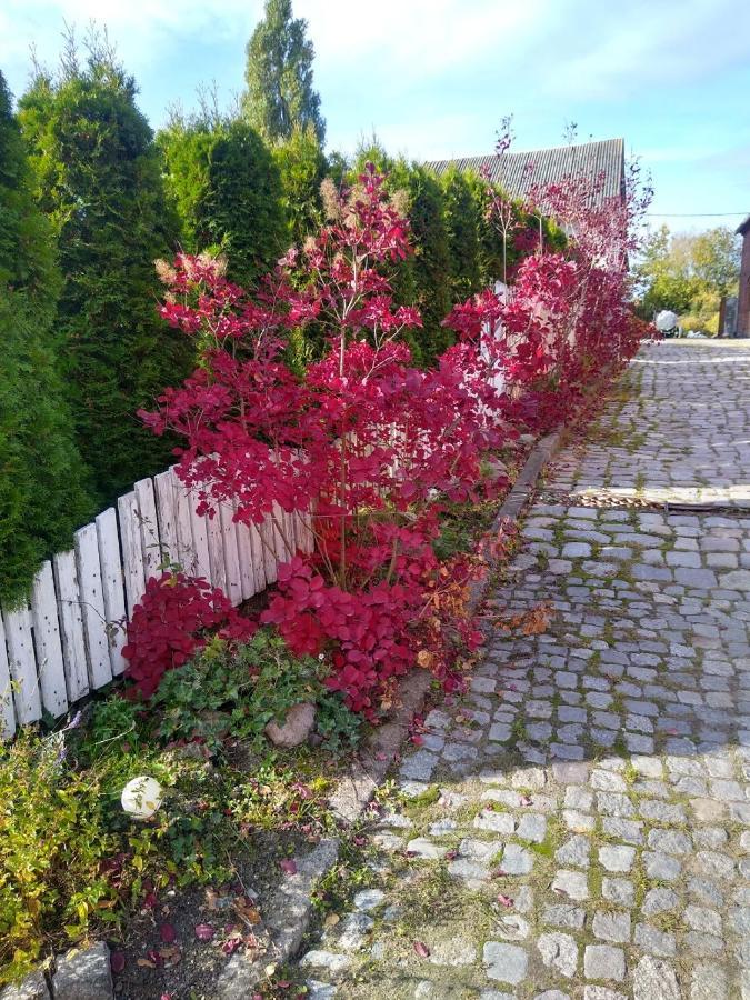 Zajazd Eljan-Centrum Noclegowe Olsztyn  Buitenkant foto